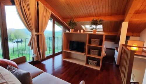 Duplex Apartment