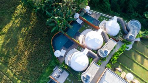 Luxury Glamping with Pool 