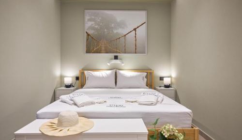 Standard Triple Studio