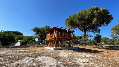 One-Bedroom Chalet