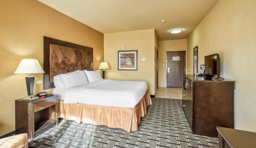 Standard King Room with Sofa Bed and Communications Accessible Tub 
