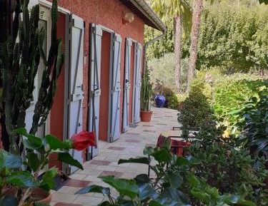 Double Room with Pool View