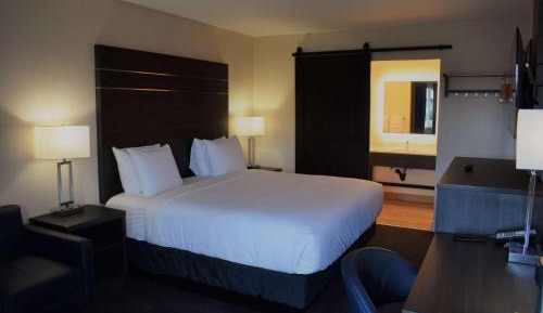 King Room - Non-Smoking