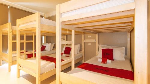 6-Bed Mixed Dormitory Room
