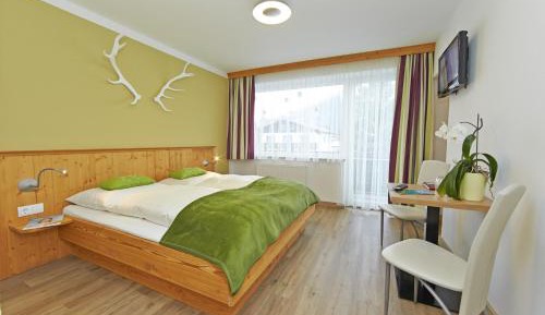 Superior Double Room with Balcony and Mountainview