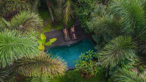 Wooden Suite with  Pool Access