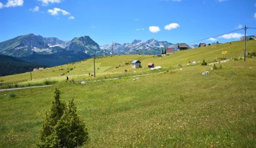 Apartment with Mountain View