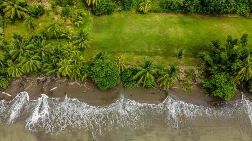 Bungalow - Beach Front