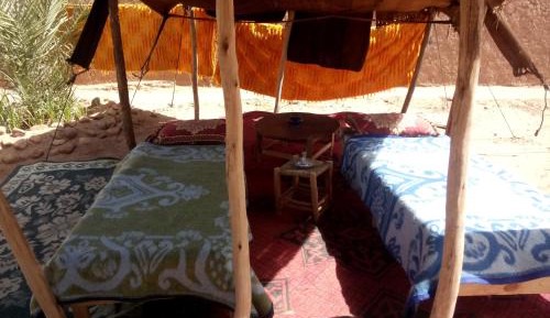 Bed in 8 Dormitory Tent 