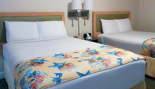 Superior Double Room with Two Double Beds and Kitchen - Free Parking