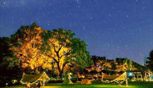 Summer Camp -Deluxe Room (Book at least 1 day in advance: One time afternoon tea + kids activities + 60-minute photo shooting + one tent)