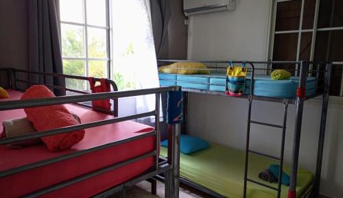Bunk Bed in Mixed Dormitory Room