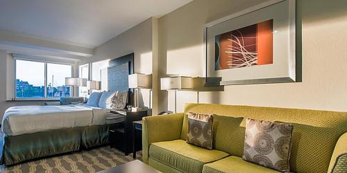 King Suite with Sofa Bed