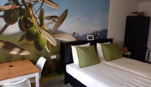Deluxe Double Room with Shower