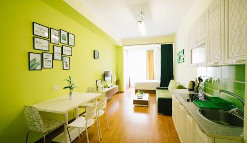 Studio Apartment