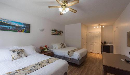 Deluxe Queen Room