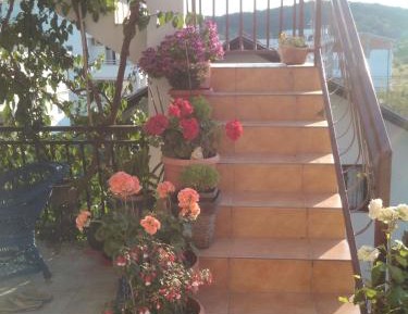 One-Bedroom Apartment - First Floor