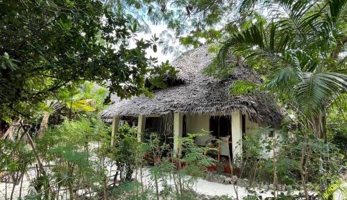 Standard Bungalow Double
