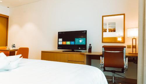 Deluxe King Studio Apartment