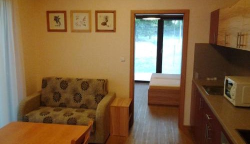 Duplex One-Bedroom Apartment
