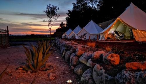 Tent