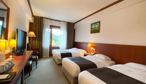 Deluxe Triple Room with Lake View