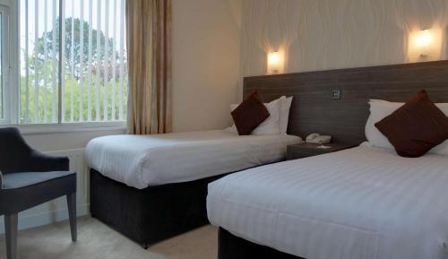 Standard Twin Room