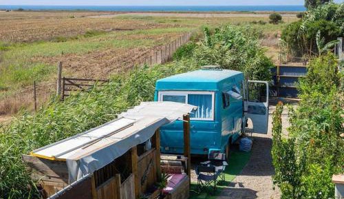 Mobile Home