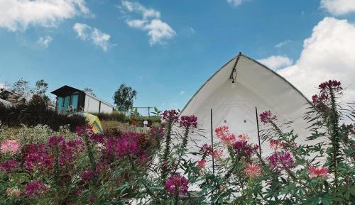 Tent with Share Toilet