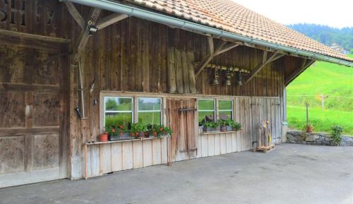 Standard Twin Room with Garden View