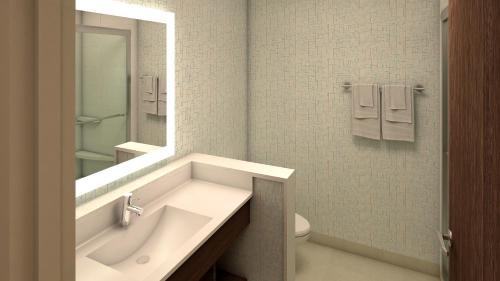Standard King Room with Mobility Accessible Tub