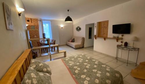 King Studio with Sofa Bed