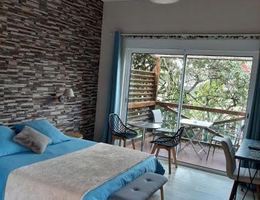 Double Room with Terrace