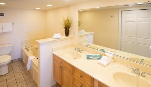 One-Bedroom Suite