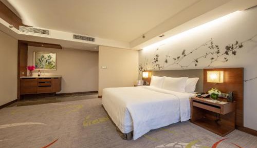Premium King Room with City View