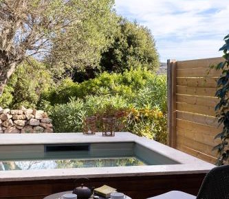 Double Room with Private Swimming Pool 