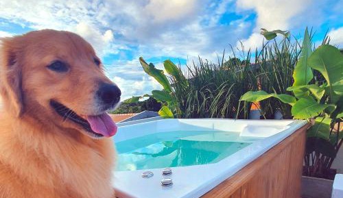 Apartment with Pool View 