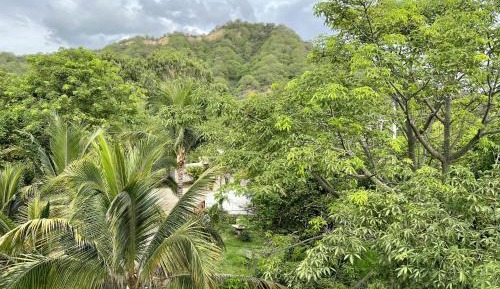 Standard Twin Room with Garden View