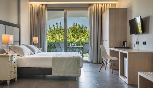 Deluxe Double or Twin Room