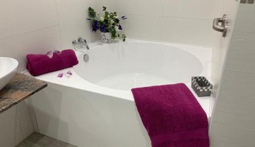 Deluxe Double Room with Shower