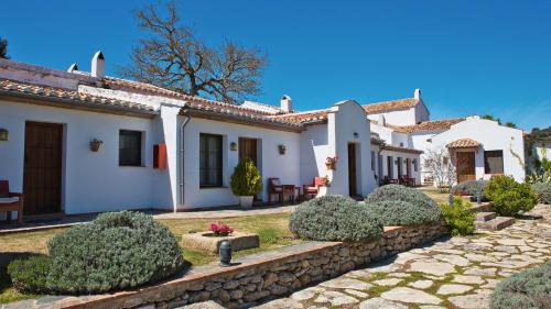 Double or Twin Room with Terrace