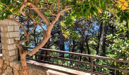 King Studio with Sofa Bed