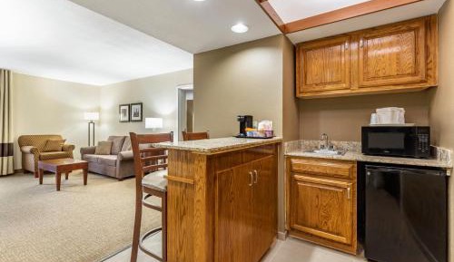Efficiency King Suite - Non-Smoking