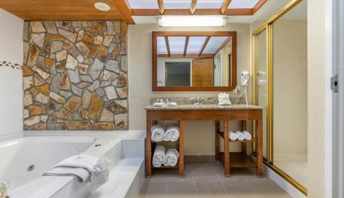 Efficiency King Suite - Non-Smoking