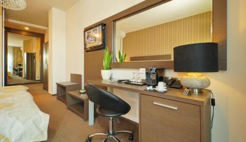 Deluxe Business Room with Terrace