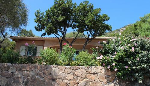 Special Offer - Deluxe Villa