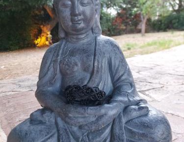 Studio Apartment with Sea View