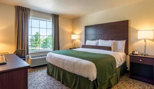 Single Room - Disability Access