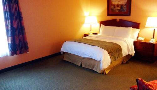 One-Bedroom Suite