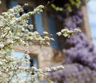 Deluxe Double Room with Shower